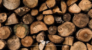 Brennholz kaufen | Gardline