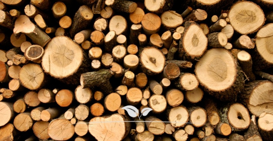 Welche Arten von Brennholz gibt es?